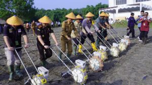 PORKOPIMDA kota Prabumulih Tanam Jagung Bersama Prabumulih Sumatera Selatan