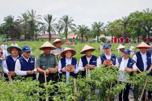 Pj. Gubernur Sumsel Bersama Sekda Muaraenim Gelar Panen Raya Cabai di Proyek Percontohan SMK Negeri 1 Gelumbang