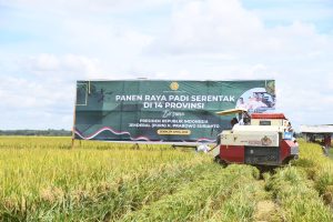 Jaga Stabilitas Ketahanan Pangan, Kasdam II/Sriwijaya Hadiri Panen Padi Serentak di Kabupaten OKI