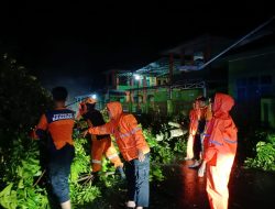 BPBD Muba Bergerak Cepat Tangani Pohon Tumbang