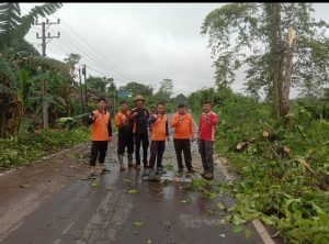 Tim Gabungan Bergerak Cepat Evakuasi Pohon Tumbang di Sekayu, Bupati HM Toha Apresiasi Respons Sigap