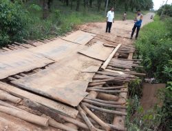 Pemkab Muba Segera Perbaiki Jembatan Desa Warga Mulya (B4)