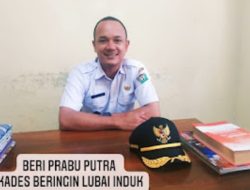 Karang Taruna Desa Bringin Gelar Festival Kemerdekaan Meriahkan HUT RI Ke-80