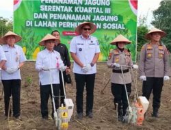 Franky Nasril, S.E., M.Kom Hadiri Tanam Jagung Serentak Kuartal III