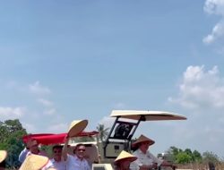 Gubernur Sumsel H. Herman Deru Hadiri Panen Jagung Kuartal III di OKU Timur