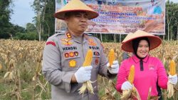 Dukung Swasembada Jagung, Panen Raya Serentak Kuartal II Tahun 2026 Digelar di Desa Pagargunung Kabupaten Muara Enim